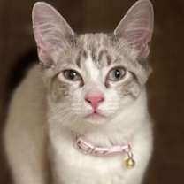 Thumbnail photo of Debs Brooke #3