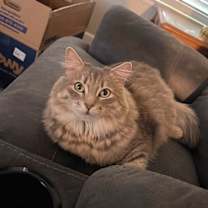 Thumbnail photo of Ash #1