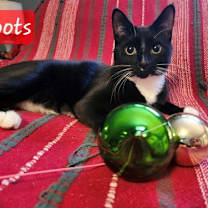 Thumbnail photo of Boots #1