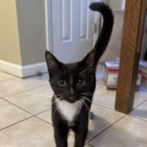 Thumbnail photo of Boots #2