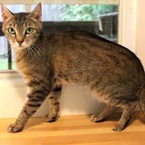 Thumbnail photo of Hannah #1