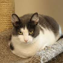 Thumbnail photo of Lilly #2