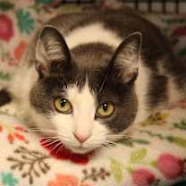 Thumbnail photo of Lilly #3