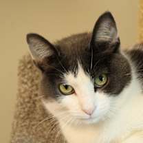 Thumbnail photo of Lilly #4