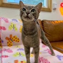 Thumbnail photo of Peaches and Cream #1