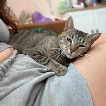 Thumbnail photo of Lovebug Ward #3