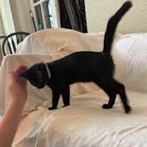 Thumbnail photo of Coline #2