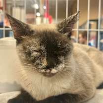 Thumbnail photo of Jenna #4