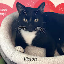 Thumbnail photo of VISION #2