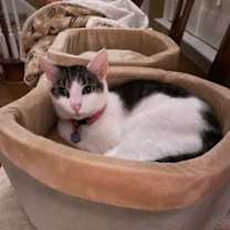 Thumbnail photo of Dorothy #2