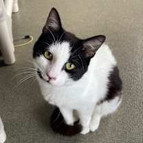 Thumbnail photo of Murphy Lee #4