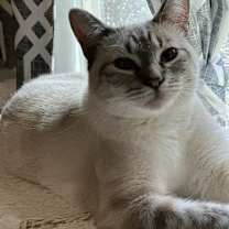 Thumbnail photo of Slate #2