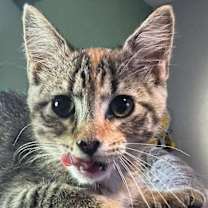 Thumbnail photo of Destin #3