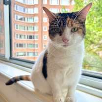 Thumbnail photo of Sandy #1