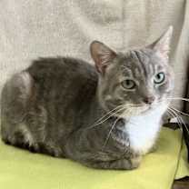 Thumbnail photo of Seymour #1