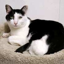 Thumbnail photo of Johnny #1