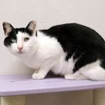 Thumbnail photo of Johnny #3