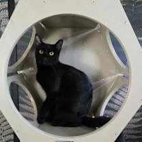 Thumbnail photo of Kilowatt #2