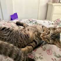 Thumbnail photo of Waldo and Magoo #4