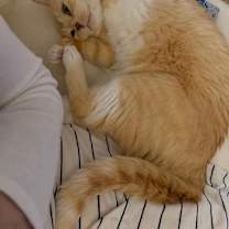 Thumbnail photo of Mowgli #2