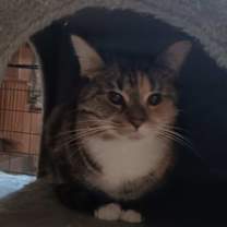 Thumbnail photo of Tammy #3