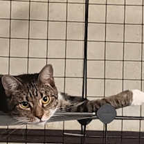 Thumbnail photo of Princess #3