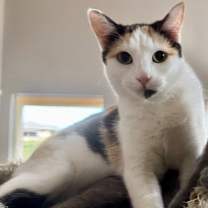 Thumbnail photo of Simone ♡ #1