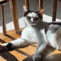 Thumbnail photo of Simone ♡ #3