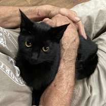 Thumbnail photo of Amaya bonded with Belle #1