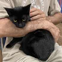 Thumbnail photo of Amaya bonded with Belle #4