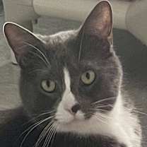 Thumbnail photo of W2 RUSS #2