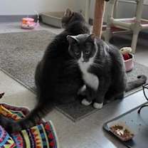 Thumbnail photo of W2 RUSS #3