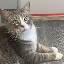 Thumbnail photo of W2 RUSS #4