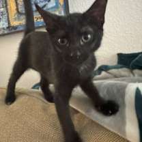 Thumbnail photo of Dorothy #4