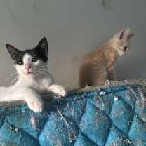 Thumbnail photo of Dorothy #3