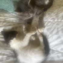 Thumbnail photo of Dorothy #4