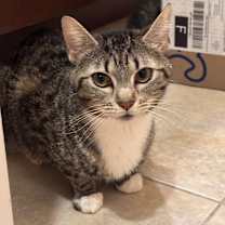 Thumbnail photo of Nelli #2