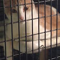 Thumbnail photo of SPROUT #1