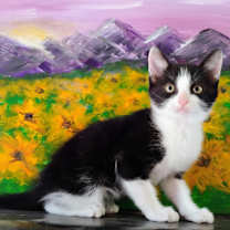 Thumbnail photo of Wobbles #1