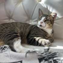 Thumbnail photo of Connie #1