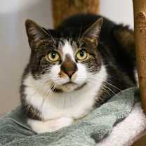 Thumbnail photo of Monty #1