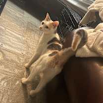 Thumbnail photo of Chiquita Arredondo #4