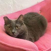 Thumbnail photo of Baby #1