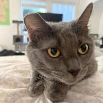 Thumbnail photo of Baby #2