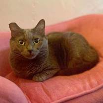 Thumbnail photo of Baby #3