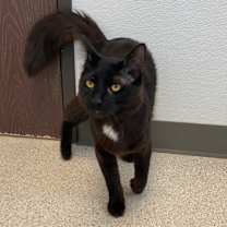 Thumbnail photo of Sunny #2