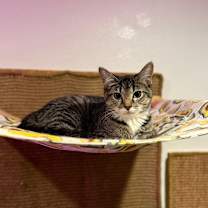 Thumbnail photo of Everly #2