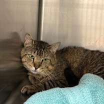 Thumbnail photo of Ditch #3