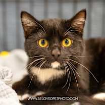 Thumbnail photo of Lucas #4