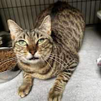 Thumbnail photo of Lucy #2